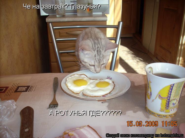 Че на завтрак? Глазунья? А РОТУНЬЯ ГДЕ??????... Котоматрица: Че на завтрак? Глазунья? А РОТУНЬЯ ГДЕ??????