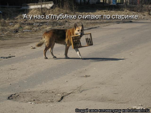 А у нас в глубинке считают по старинке.... Котоматрица: А у нас в глубинке считают по старинке.