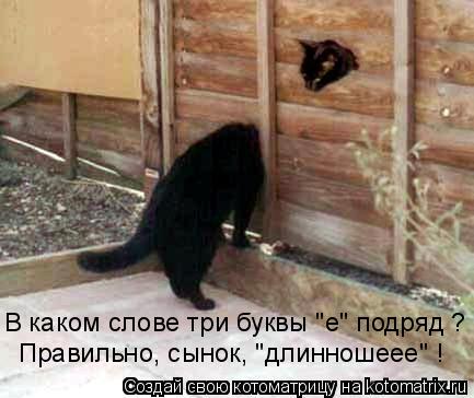 В каком слове три буквы "е" подряд ? Правильно, сынок, "длинношеее" !... Котоматрица: В каком слове три буквы "е" подряд ? Правильно, сынок, "длинношеее" !