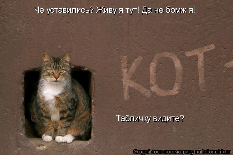 Че уставились? Живу я тут! Да не бомж я! Табличку видите?... Котоматрица: Че уставились? Живу я тут! Да не бомж я! Табличку видите?