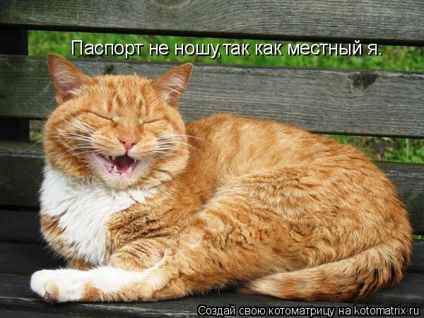 Паспорт не ношу,так как местный я.... Котоматрица: Паспорт не ношу,так как местный я.