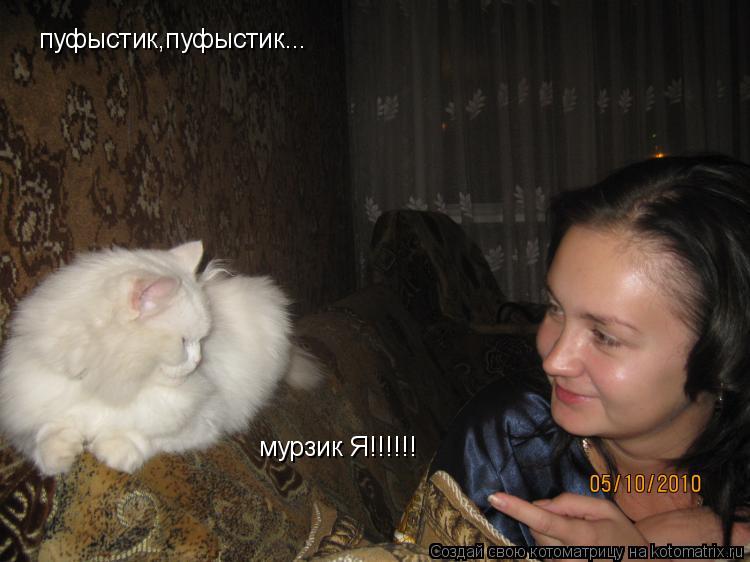 пуфыстик,пуфыстик... мурзик Я!!!!!!... Котоматрица: пуфыстик,пуфыстик... мурзик Я!!!!!!