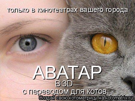 только в кинотеатрах вашего города АВАТАР В 3D с переводом для котов... Котоматрица: только в кинотеатрах вашего города АВАТАР В 3D с переводом для котов