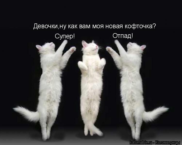 Супер! Отпад! Девочки,ну как вам моя новая кофточка?... Котоматрица: Супер! Отпад! Девочки,ну как вам моя новая кофточка?