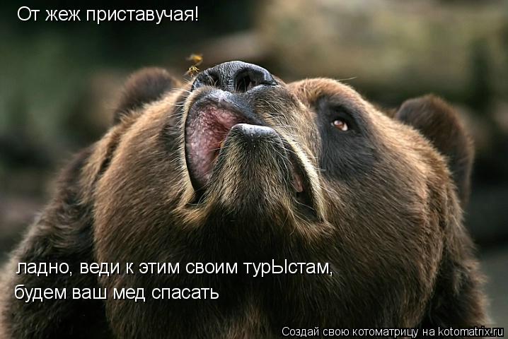 От жеж приставучая! ладно, веди к этим своим турЫстам, будем ваш мед спасать... Котоматрица: От жеж приставучая! ладно, веди к этим своим турЫстам, будем ваш мед спасать