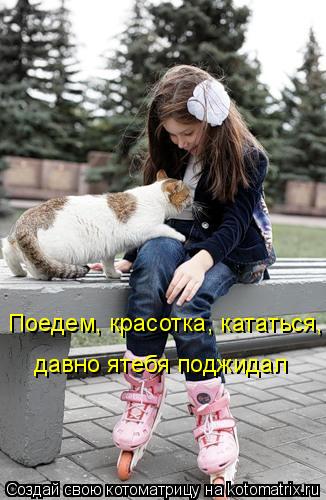 Поедем, красотка, кататься, давно ятебя поджидал... Котоматрица: Поедем, красотка, кататься, давно ятебя поджидал