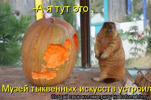 -А я тут это... Музей тыквенных искусств устроил!... Котоматрица: -А я тут это... Музей тыквенных искусств устроил!