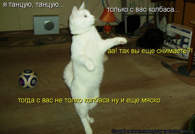 я танцую, танцую... только с вас колбаса... аа! так вы еще снимаете?! тогда с вас не толко колбаса ну... Котоматрица: я танцую, танцую... только с вас колбаса... аа! так вы еще снимаете?! тогда с вас не толко колбаса ну и еще мяско