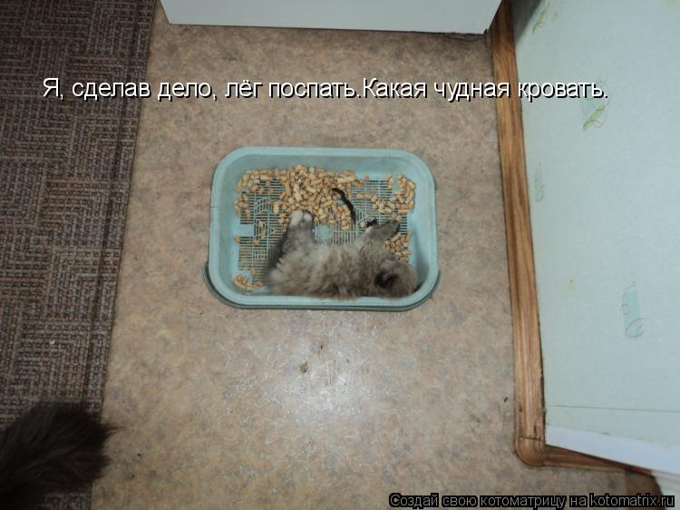 Я, сделав дело, лёг поспать.Какая чудная кровать.... Котоматрица: Я, сделав дело, лёг поспать.Какая чудная кровать.
