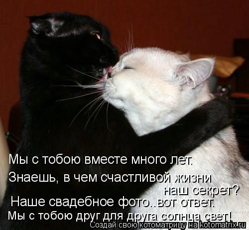 Мы с тобою вместе много лет… Знаешь, в чем счастливой жизни наш секрет? Мы с тобою друг для друга со... Котоматрица: Мы с тобою вместе много лет… Знаешь, в чем счастливой жизни наш секрет? Мы с тобою друг для друга солнца свет! Наше свадебное фото..вот ответ