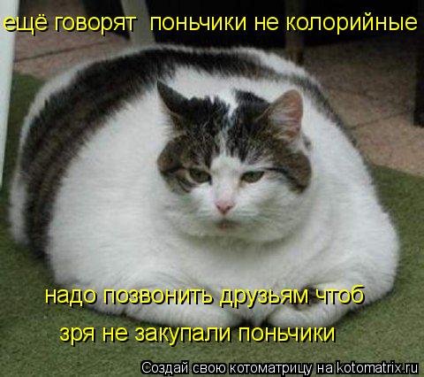 ещё говорят поньчики не колорийные надо позвонить друзьям чтоб зря на ней не сидели надо позвонить д... Котоматрица: ещё говорят поньчики не колорийные надо позвонить друзьям чтоб зря на ней не сидели надо позвонить друзьям чтоб зря не закупали поньчики