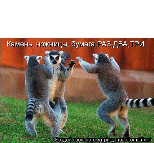 Камень, ножницы, бумага,РАЗ,ДВА,ТРИ... Котоматрица: Камень, ножницы, бумага,РАЗ,ДВА,ТРИ