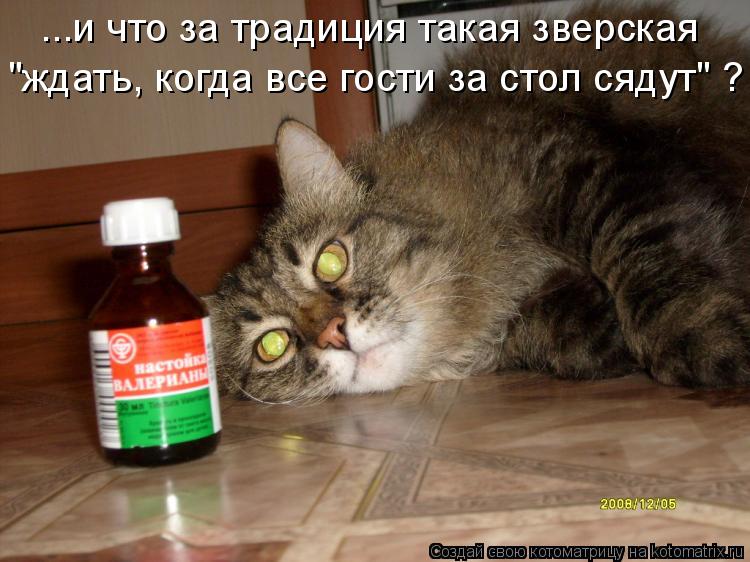Котоматрица: ...и что за традиция такая зверская "ждать, когда все гости за стол сядут" ?