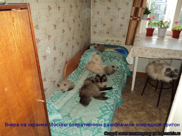 Вчера на окраине Москвы оперативники разоблачили очередной притон... Котоматрица: Вчера на окраине Москвы оперативники разоблачили очередной притон