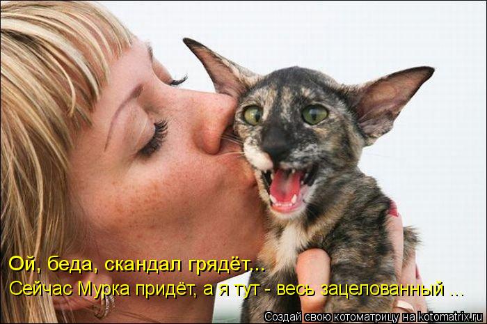Котоматрица: Ой, беда, скандал грядёт... Сейчас Мурка придёт, а я тут - весь зацелованный ...