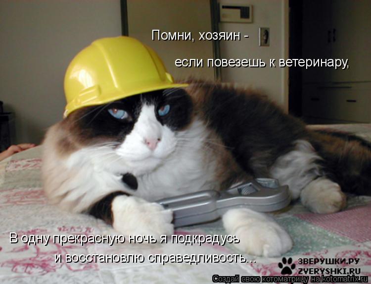 Помни, хозяин - В одну прекрасную ночь я подкрадусь и восстановлю справедливость... если повезешь к ... Котоматрица: Помни, хозяин - В одну прекрасную ночь я подкрадусь и восстановлю справедливость... если повезешь к ветеринару,