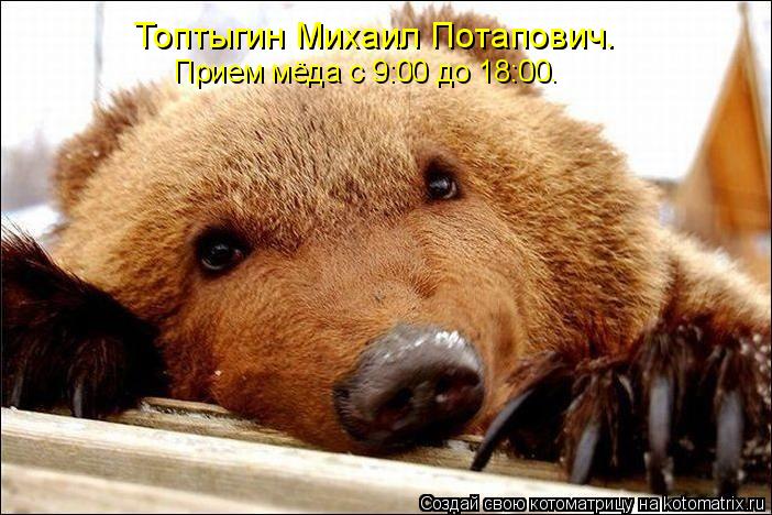 Топтыгин Михаил Потапович. Прием мёда с 9:00 до 18:00.... Котоматрица: Топтыгин Михаил Потапович. Прием мёда с 9:00 до 18:00.
