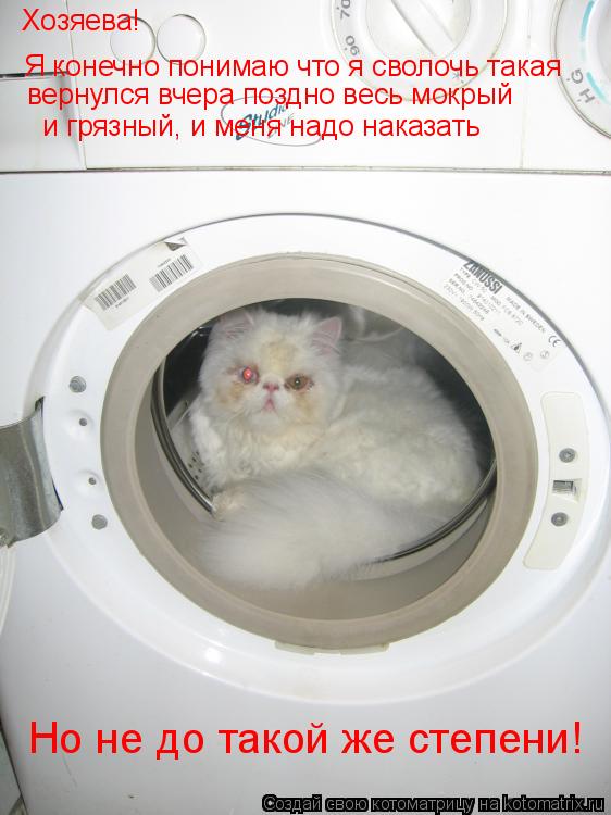 Хозяева! Я конечно понимаю что я сволочь такая вернулся вчера поздно весь мокрый и грязный, и меня... Котоматрица: Хозяева! Я конечно понимаю что я сволочь такая вернулся вчера поздно весь мокрый и грязный, и меня надо наказать Но не до такой же степени!