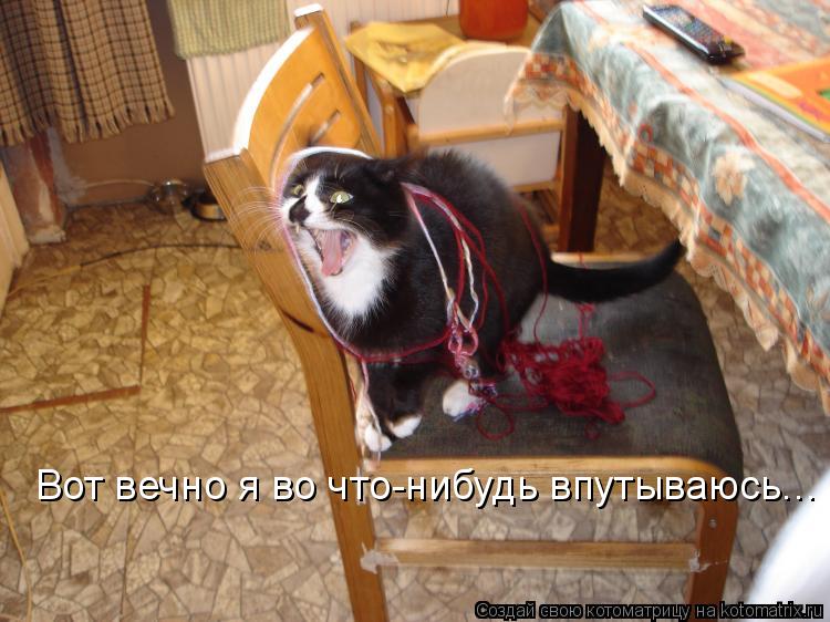 Вот вечно я во что-нибудь впутываюсь...... Котоматрица: Вот вечно я во что-нибудь впутываюсь...