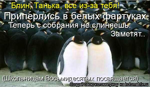 Блин, Танька, все из-за тебя! Теперь с собрания не слиняешь. Заметят.. (Школьницам Восьмидесятых по... Котоматрица: Блин, Танька, все из-за тебя! Теперь с собрания не слиняешь. Заметят.. (Школьницам Восьмидесятых посвящается) Приперлись в белых фартуках.