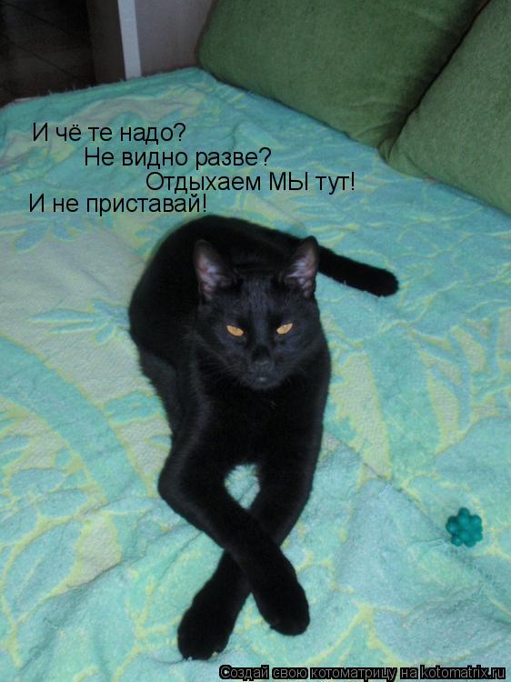 И чё те надо? Не видно разве? Отдыхаем МЫ тут! И не приставай!... Котоматрица: И чё те надо? Не видно разве? Отдыхаем МЫ тут! И не приставай!
