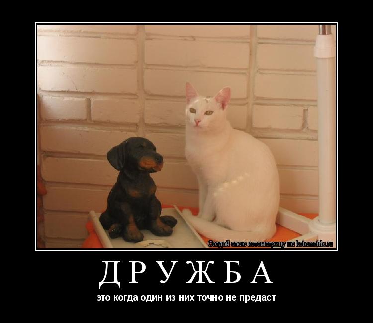 Котоматрица: Дружба это когда один из них точно не предаст