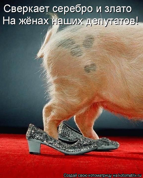 Сверкает серебро и злато На жёнах наших депутатов!... Котоматрица: Сверкает серебро и злато На жёнах наших депутатов!