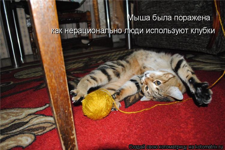 Мыша была поражена как нерационально люди используют клубки... Котоматрица: Мыша была поражена как нерационально люди используют клубки