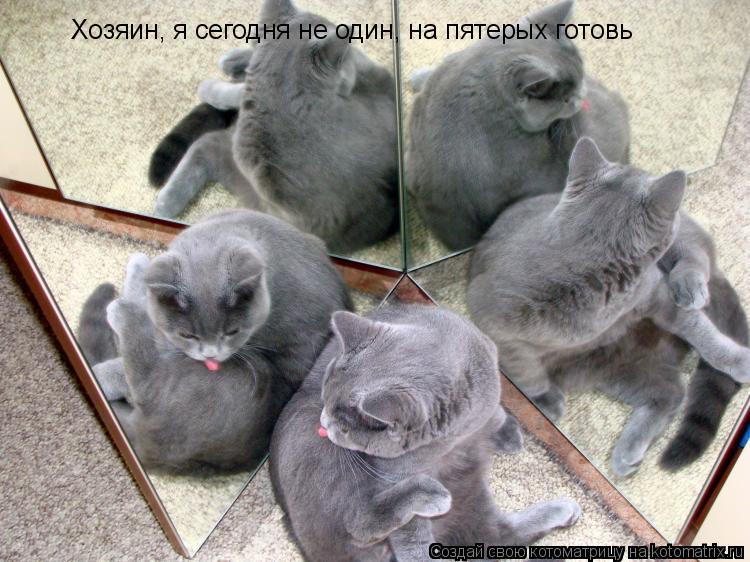 Хозяин, я сегодня не один, на пятерых готовь... Котоматрица: Хозяин, я сегодня не один, на пятерых готовь