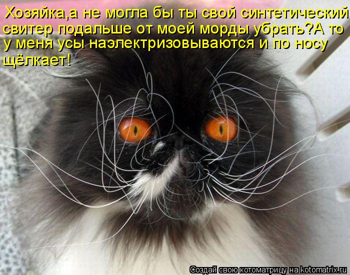 Хозяйка,а не могла бы ты свой синтетический свитер подальше от моей морды убрать?А то у меня усы наэл... Котоматрица: Хозяйка,а не могла бы ты свой синтетический свитер подальше от моей морды убрать?А то у меня усы наэлектризовываются и по носу щёлкает!