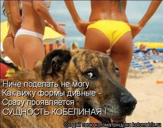 Ниче поделать не могу Как вижу формы дивные - Сразу проявляется СУЩНОСТЬ КОБЕЛИНАЯ !... Котоматрица: Ниче поделать не могу Как вижу формы дивные - Сразу проявляется СУЩНОСТЬ КОБЕЛИНАЯ !