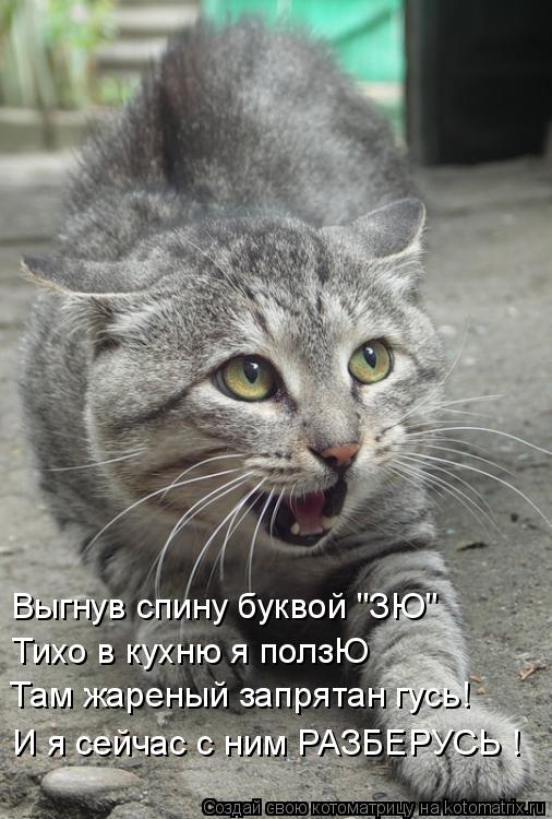 Выгнув спину буквой "ЗЮ" Тихо в кухню я ползЮ Там жареный запрятан гусь! И я сейчас с ним РАЗБЕРУСЬ !... Котоматрица: Выгнув спину буквой "ЗЮ" Тихо в кухню я ползЮ Там жареный запрятан гусь! И я сейчас с ним РАЗБЕРУСЬ !