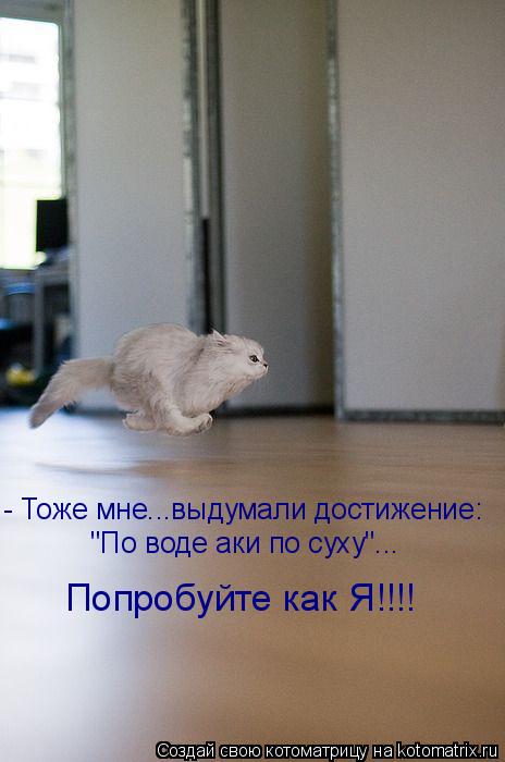 - Тоже мне...выдумали достижение: "По воде аки по суху"... Попробуйте как Я!!!!... Котоматрица: - Тоже мне...выдумали достижение: "По воде аки по суху"... Попробуйте как Я!!!!
