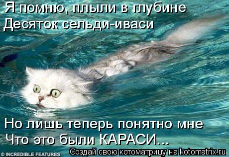 Я помню, плыли в глубине Десяток сельди-иваси Но лишь теперь понятно мне Что это были КАРАСИ...... Котоматрица: Я помню, плыли в глубине Десяток сельди-иваси Но лишь теперь понятно мне Что это были КАРАСИ...