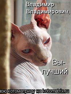 Владимирович, Владимир Вы- лучший... Котоматрица: Владимирович, Владимир Вы- лучший