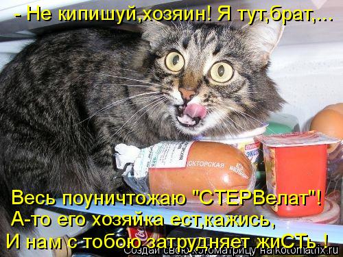Весь поуничтожаю "СТЕРВелат"! И нам с тобою затрудняет жиСТь ! А-то его хозяйка ест,кажись, - Не кипи... Котоматрица: Весь поуничтожаю "СТЕРВелат"! И нам с тобою затрудняет жиСТь ! А-то его хозяйка ест,кажись, - Не кипишуй,хозяин! Я тут,брат,...