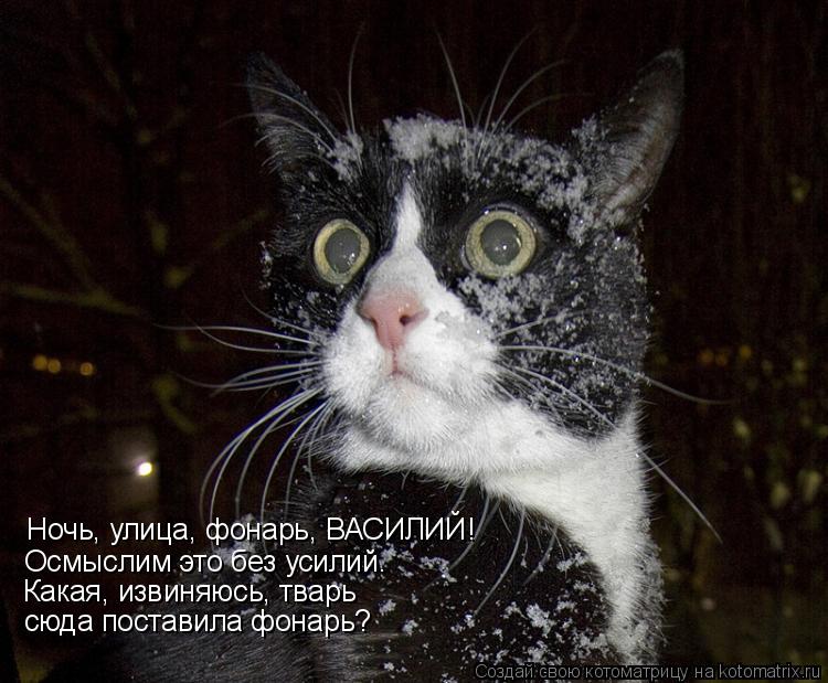 Ночь, улица, фонарь, ВАСИЛИЙ! Осмыслим это без усилий. Какая, извиняюсь, тварь сюда поставила фонарь?... Котоматрица: Ночь, улица, фонарь, ВАСИЛИЙ! Осмыслим это без усилий. Какая, извиняюсь, тварь сюда поставила фонарь?