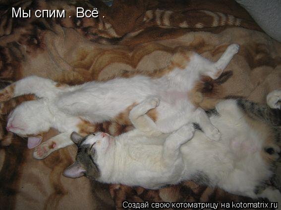 Мы спим . Всё .... Котоматрица: Мы спим . Всё .