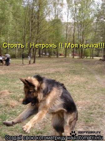 Стоять ! Нетрожь !! Моя нычка!!!... Котоматрица: Стоять ! Нетрожь !! Моя нычка!!!