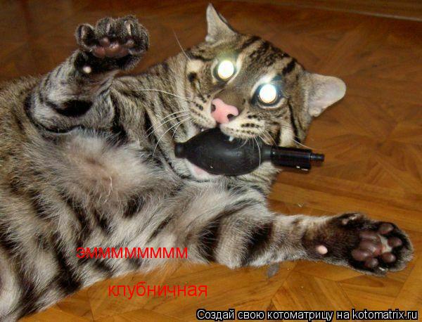 эмммммммм клубничная... Котоматрица: эмммммммм клубничная