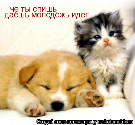 че ты спишь даёшь молодёжь идет... Котоматрица: че ты спишь даёшь молодёжь идет