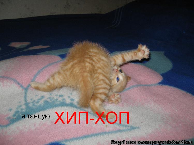 Котоматрица: я танцую ХИП-ХОП -