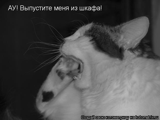 Котоматрица: АУ! Выпустите меня из шкафа!