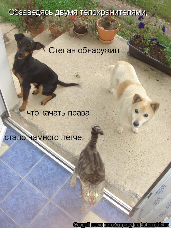 Обзаведясь двумя телохранителями, Степан обнаружил, что качать права стало намного легче.... Котоматрица: Обзаведясь двумя телохранителями, Степан обнаружил, что качать права стало намного легче.