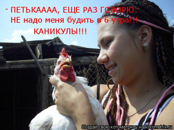 ПЕТЬКАААА, ЕЩЕ РАЗ ГОВОРЮ: НЕ надо меня будить в 6 утра!!! КАНИКУЛЫ!!! -... Котоматрица: ПЕТЬКАААА, ЕЩЕ РАЗ ГОВОРЮ: НЕ надо меня будить в 6 утра!!! КАНИКУЛЫ!!! -