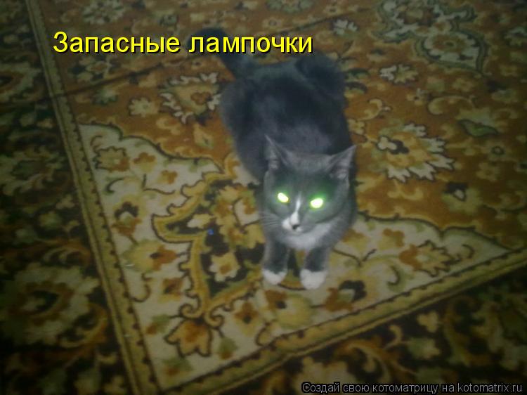Котоматрица: Запасные лампочки