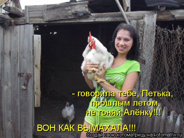 Котоматрица: - говорила тебе, Петька,  прошлым летом,  не гоняй Алёнку!!! ВОН КАК ВЫМАХАЛА!!!