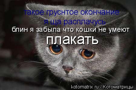 Котоматрица: такое груснтое окончание я ща расплачусь  блин я забыла что кошки не умеют плакать