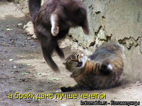 Котоматрица: а брэйк данс лучше чечетки