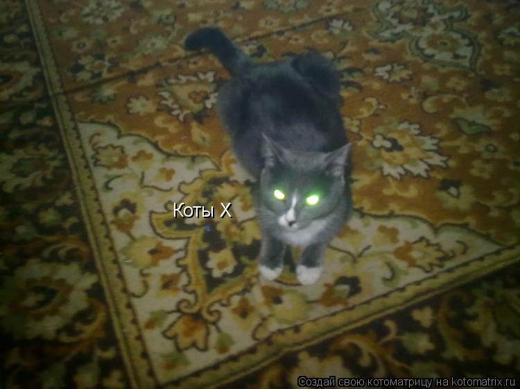Котоматрица: Коты X